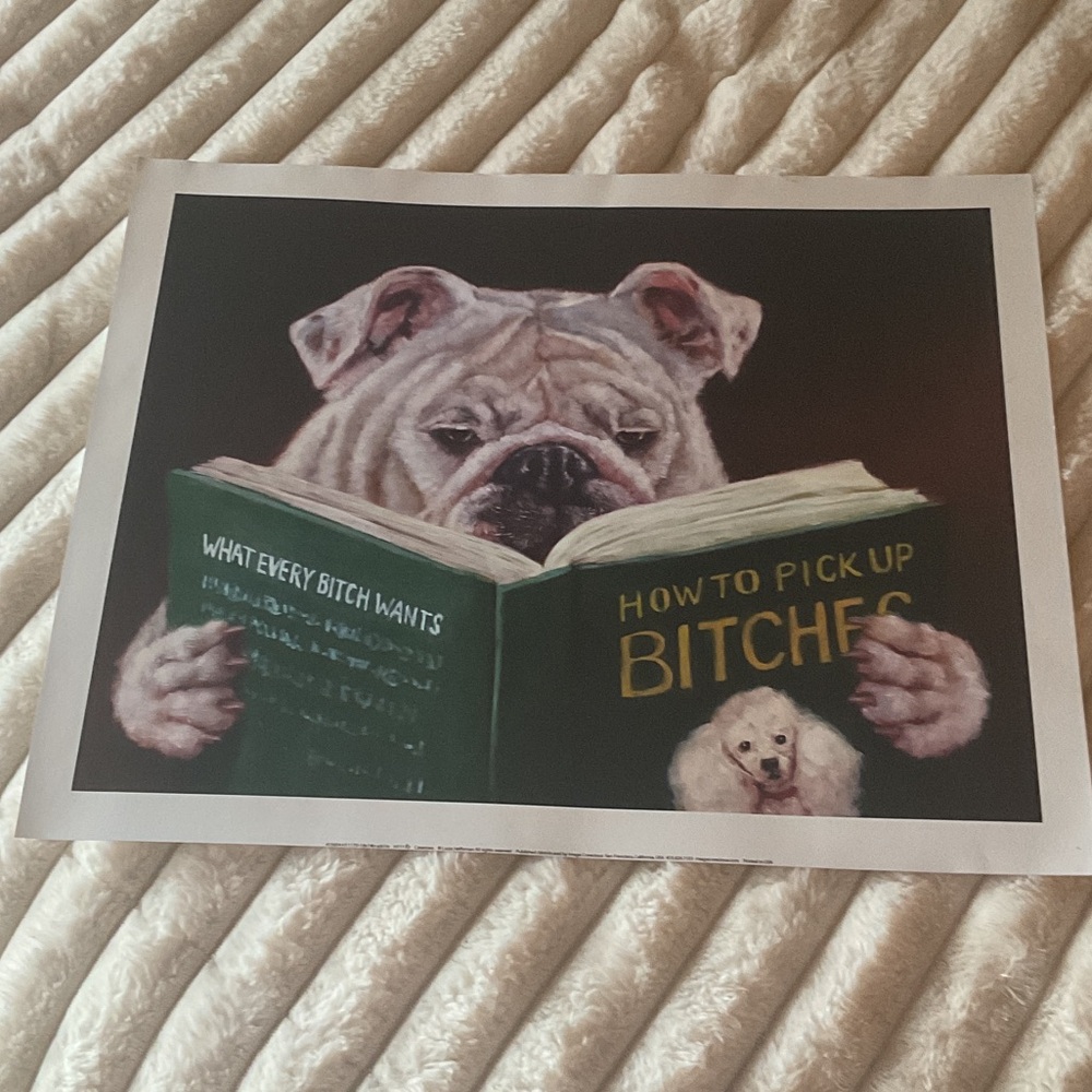 Humorous Dog Reading Art Print